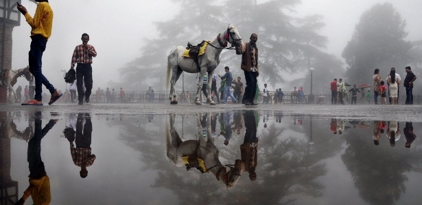 Homem passeia com um cavalo na cidade de Shimla, no norte da Índia - AFP