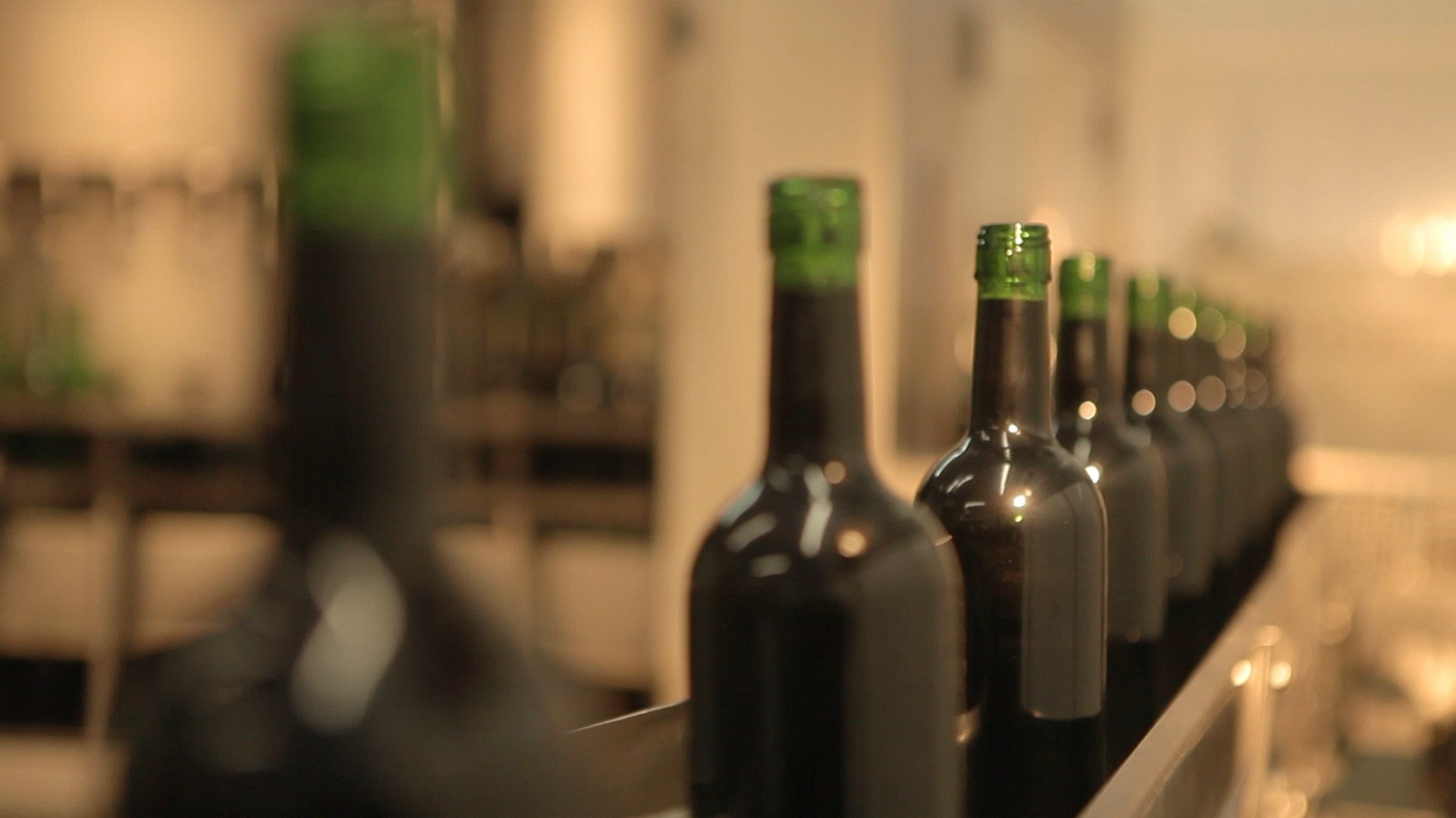 Produção de vinhos da Vinícola Góes - Divulgação