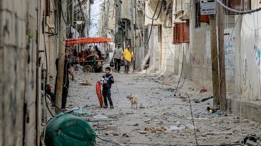 Criança palestina segura um cachorro e uma bola enquanto palestinos deixam a Cidade de Gaza para áreas mais seguras no segundo dia de uma trégua entre Israel e o Hamas