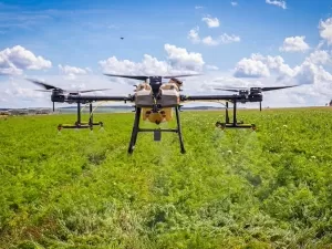 Drones respondem por 94% das contaminações por agrotóxicos no Maranhão