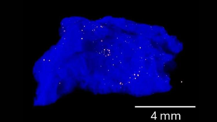 Imagem nanotomográfica da amostra de trinitita, com o vidro em azul e as inclusões de cobre em laranja