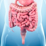 iStockphoto iStockphoto