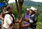 Píton gigante se enrola no pescoço de um jardineiro na Índia - Reprodução/Youtube
