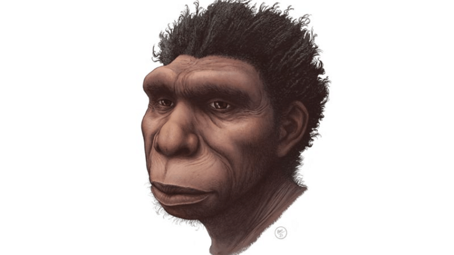 Ilustração do Homo bodoensis - Ettore Mazza