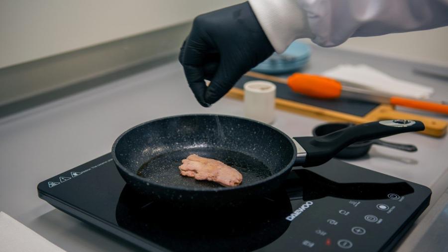Criado em laboratório, bife suíno teve sabor aprovado; mercado de carnes sintéticas deve crescer até 2030 - Divulgação 3DBT