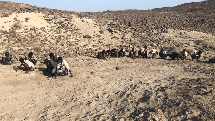 Região de Afar, no norte da Etiópia, abrigou vários fósseis importantes de hominídeos que já foram desenterrados