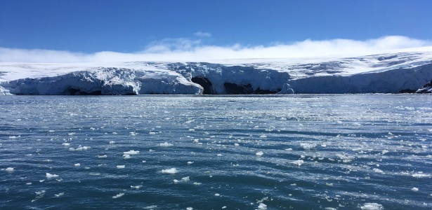 Mudanças climáticas são visíveis na Antártida com geleiras descongelando e espécies que não exisitiam na região antes - Mathilde Bellenger/AFP