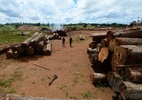O conflito sobre extração de madeira que se tornou alvo da Polícia Federal no Pará - Reuters