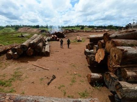 Record News Rural – Wikipédia, a enciclopédia livre