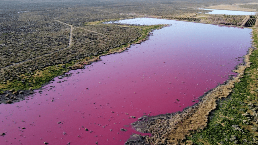 Resíduo industrial deixa lagoa na Patagônia com a água rosa - DANIEL FELDMAN / AFPTV / AFP