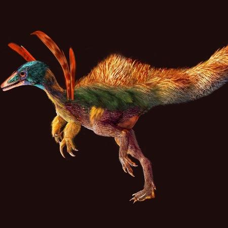 Concepção artística de como seria o Ubirajara jubatus, dinossauro com penas retirado ilegalmente do Brasil - Luis Rey/Divulgação