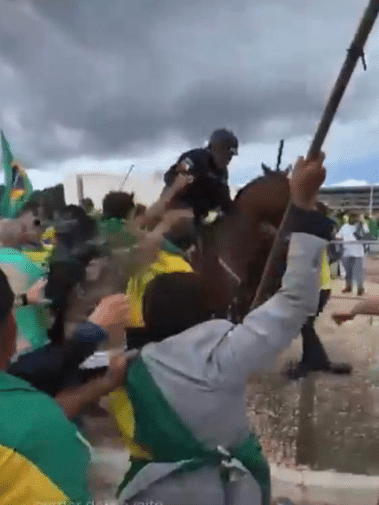 Cavalo é agredido por carroceiro e abandonado amarrado em praça