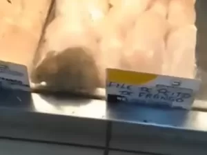 Vídeo mostra rato em freezer, e mercado é interditado parcialmente no MA