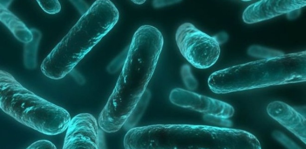 Pesquisa identificou um gene que torna bactérias infecciosas, como a E.coli, altamente resistentes à "última linha de defesa humana" contra esses organismos - Reprodução/BBC