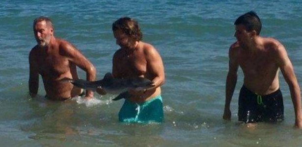 Golfinho morreu após ser retirado da água de praia da Espanha por turistas - Reprodução/Facebook