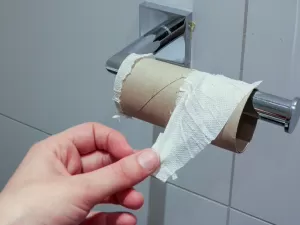 Como as pessoas se limpavam antes da invenção do papel higiênico?