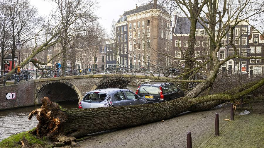 Árvore caída em Amsterdã, na Holanda, após passagem da tempestade Eunice pelo norte da Europa - Ramon van Flymen / ANP / AFP