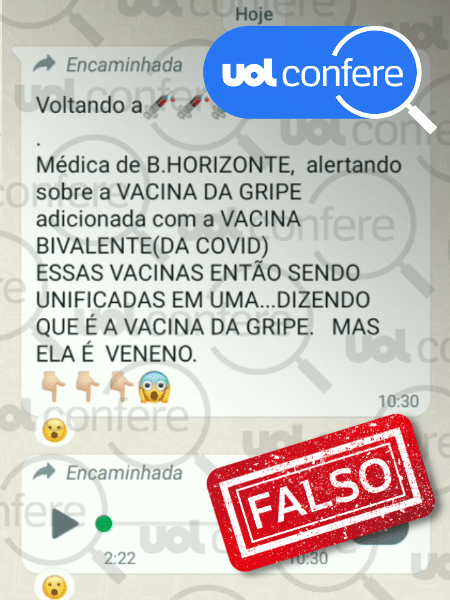 17.mar.2023 - A vacina da gripe e a bivalente possuem composições diferentes e são aplicadas em momentos distintos no Programa Nacional de Vacinação de 2023 - Arte/UOL Confere sobre Reprodução/WhatsApp