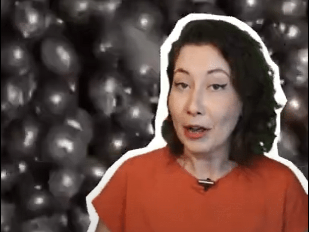 O brasileiro precisa ser estudado: 