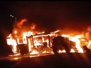 Motorista de ônibus é preso após bater em caminhão e deixar 2 mortos em SP