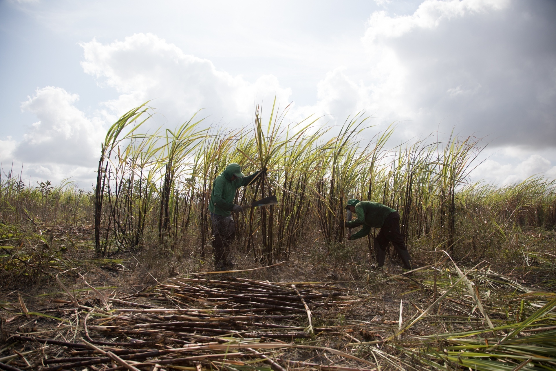Simon Plestenjak/UOL