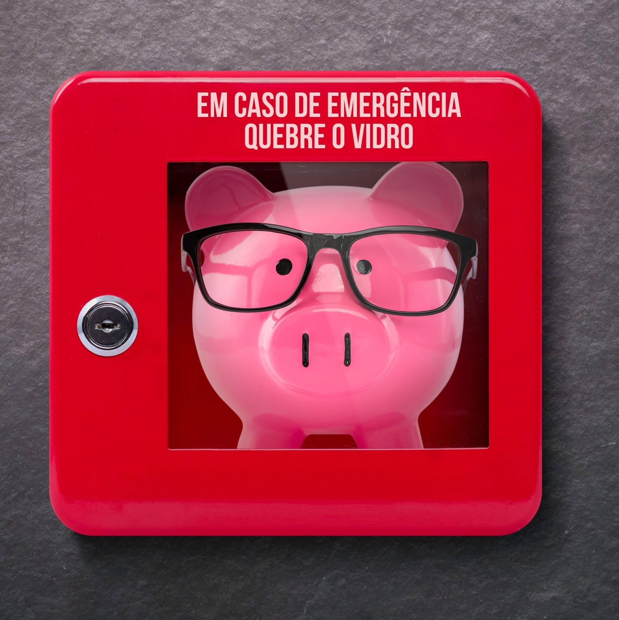 https://conteudo.imguol.com.br/c/noticias/8a/2019/03/04/reserva-de-emergencia-reserva-financeira-porquinho-dinheiro-1551718199261_v2_1x1.jpg