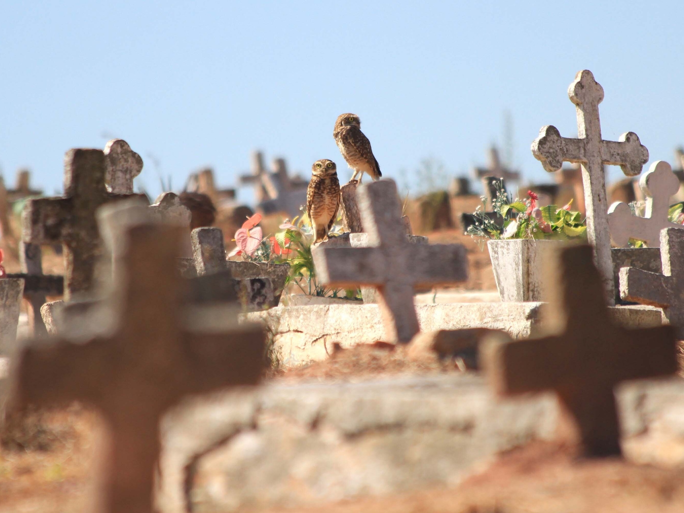 Cidades do interior do RJ veem mortes em alta 2 meses após pico na capital