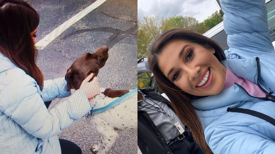 A repórter Juliana Mazza, da estação WHDH-TV, relatava o furto do cachorro Titus quando avistou o animal sendo levado para passear por um homem  - Reprodução/@julianamazzatv/Twitter