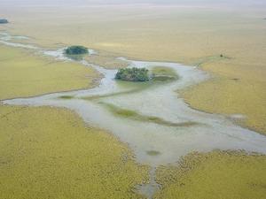 Pirâmides encontradas na bacia amazônica boliviana - Roland Seitre/Nature Picture Library - Roland Seitre/Nature Picture Library