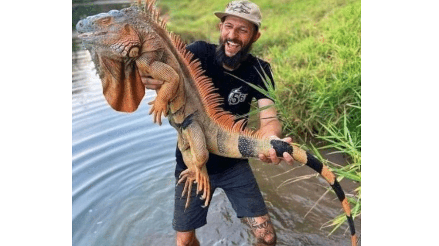 A caça das iguanas foi liberada na Flórida - Reprodução/Instagram