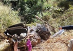 Acidente em GO mata 5 pessoas da mesma família; criança e grávida morreram - Divulgação