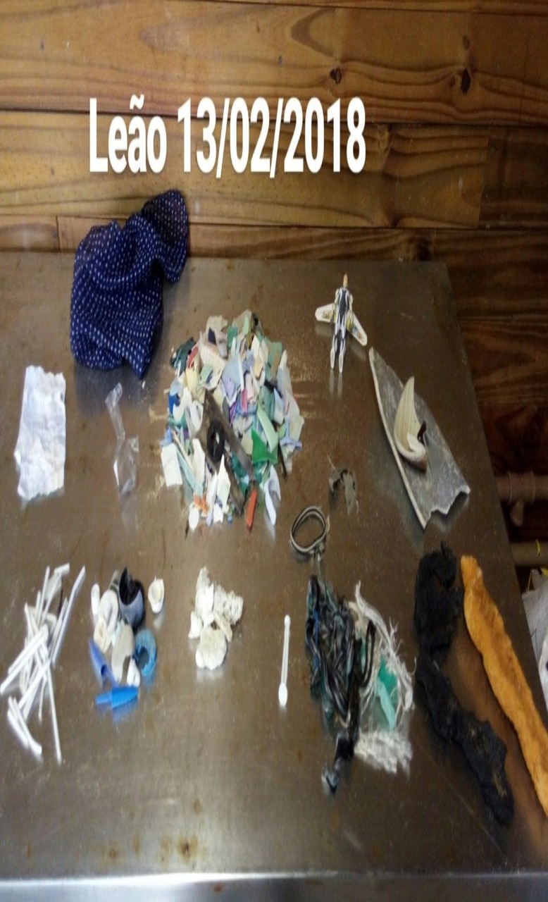 Ana Carolina Grillo Monteiro