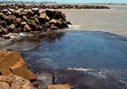 Petróleo no litoral do Nordeste já ameaça 600 filhotes de tartaruga, diz Tamar - Divulgação/Adema