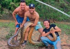 Casal que salvou cão de sucuri convive com cobras: 