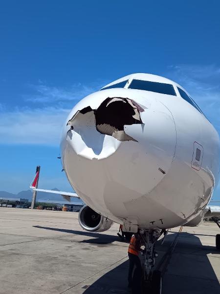 Avião da Latam fica danificado após colisão com pássaro - Reprodução/Jerome Cadier
