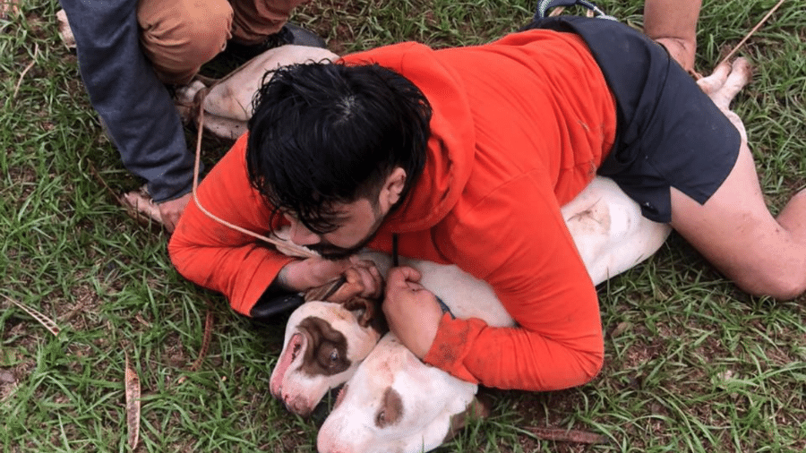 revistapazes.com - Professor de Muay Thai é surpreendido por pitbulls e consegue contê-los no braço em MS