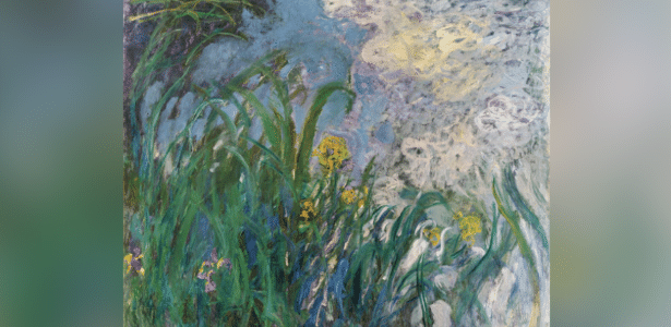 Pró-governo diz que “Iris”, de Monet, sai do anonimato para quebrar recorde francês