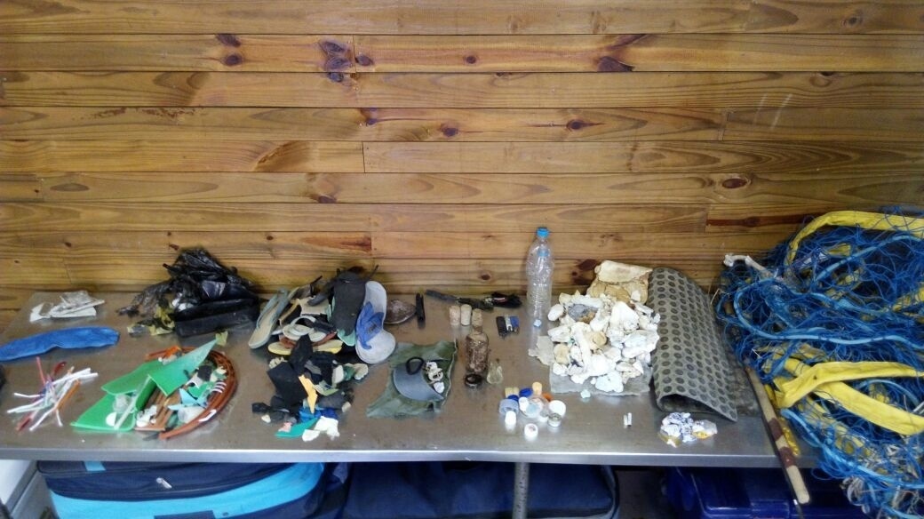 Ana Carolina Grillo Monteiro