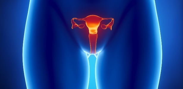 O estrógeno, hormônio produzido pelos folículos do ovário, está relacionado ao maior risco de doenças autoimunes em mulheres - Getty Images