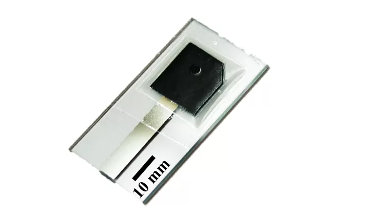 Dispositivo de teste de covid-19 desenvolvido com ajuda de detergente e papel - CNPEM - CNPEM