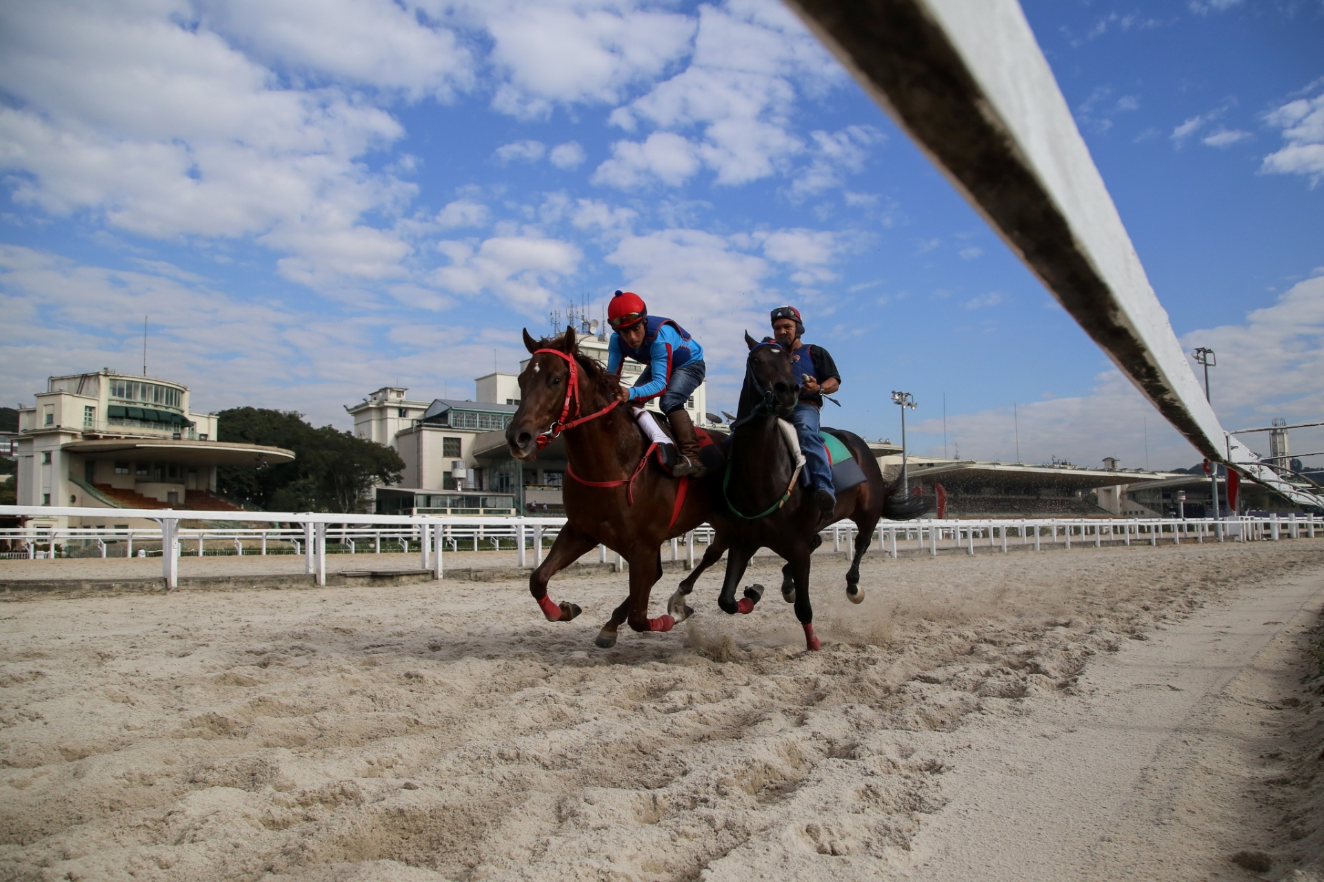 Jockey: para onde vão cavalos? O que se sabe da proibição de corridas