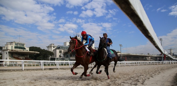 Manhã de treinos no hipódromo do Jockey Club de São Paulo, em Cidade Jardim - Amanda Perobelli/UOL