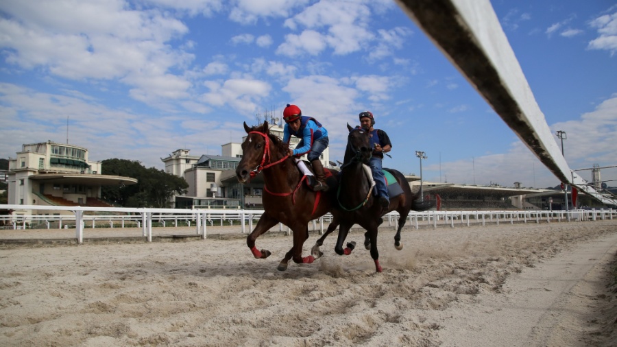 Jockey Club da Cidade Jardim abriga cerca de 800 cavalos - Amanda Perobelli/UOL - 30/06/2017