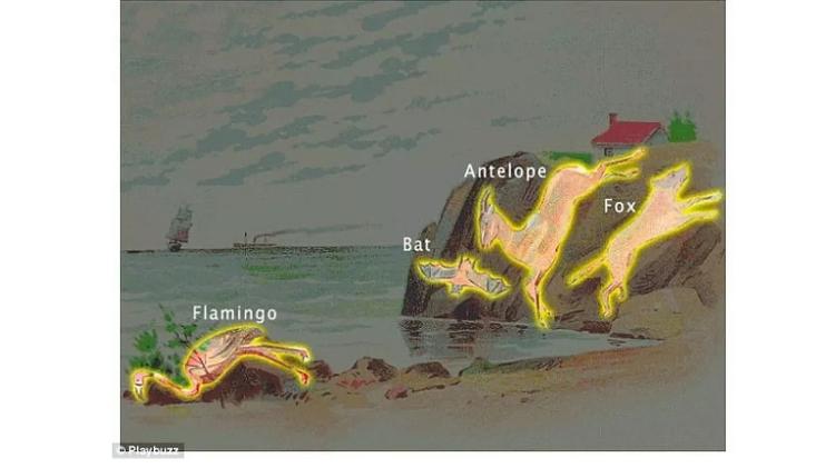 Gabarito do desafio de ilusão de óptica do site Playbuzz, onde há quatro animais escondidos: flamingo, morcego, antílope e raposa