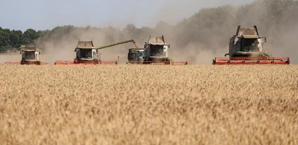 El Niño preocupa produtores, e projeção da safra de trigo fica 18,6% menor