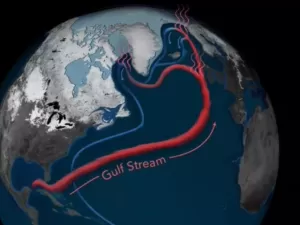 Oceano enfrenta um colapso que pode afetar clima e economia no Brasil