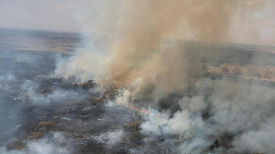 Incêndio em uma área de preservação permanente em Castilho, no interior de SP - Divulgação/Defesa Civil