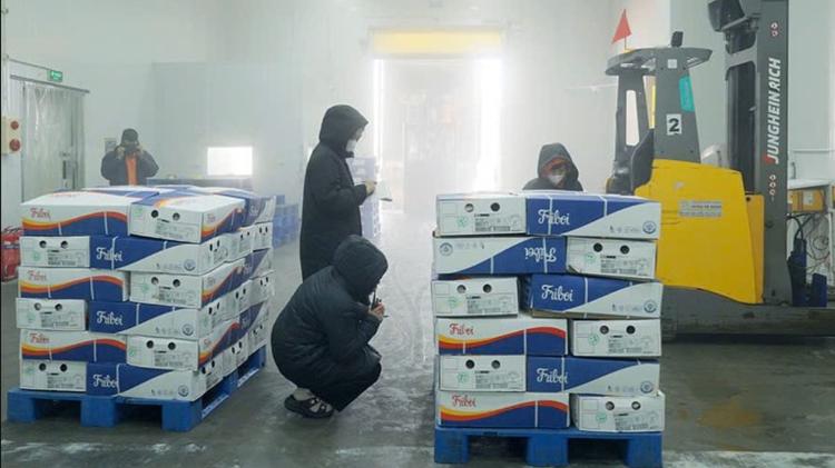 Vietnã recebe primeiro carregamento de carne bovina do Brasil Vietnã recebe primeiro carregamento de carne bovina do Brasil