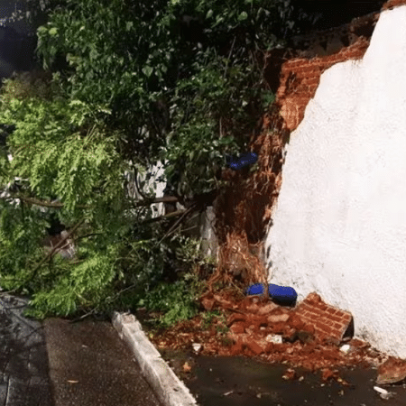 Árvore derrubou o muro onde fica parte do ossuário do Cemitério Vila Formosa
