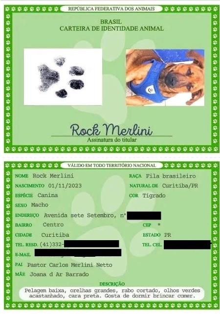 Identidade animal de Rock